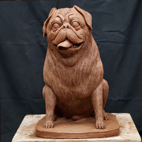 pug dog