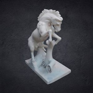 two leg standing pose horse